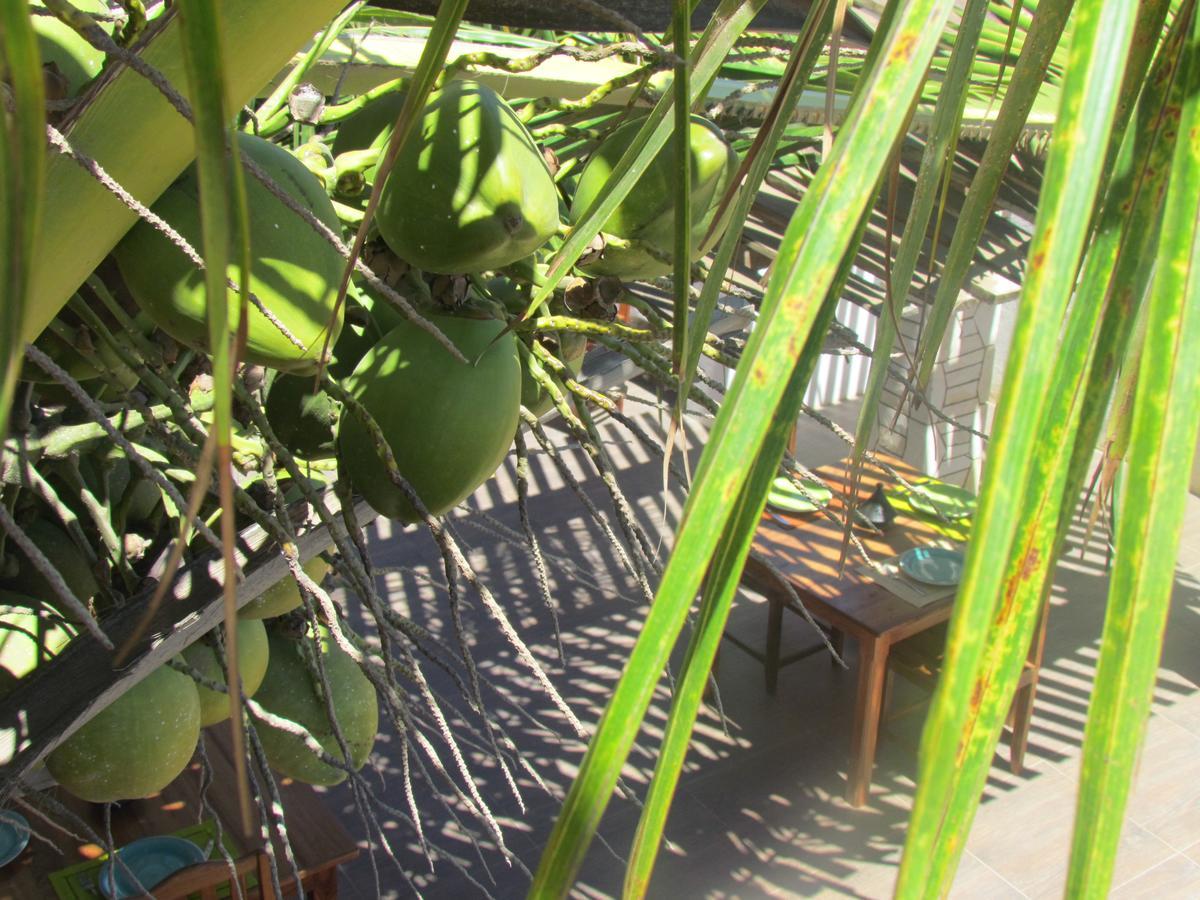 Bohobe Naboty Bed & Breakfast Toliara Exterior photo